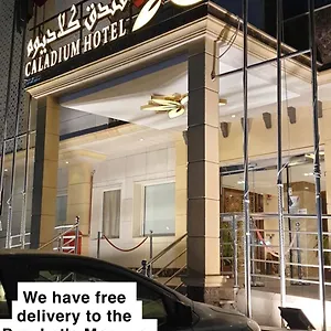 تحقق من التوفر